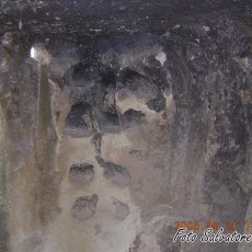 DSCN1236 (Copia)